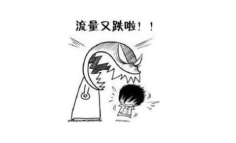 網站的價值,網站的收錄